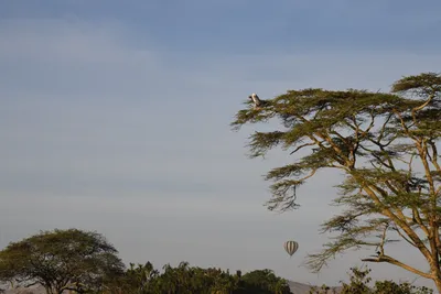 DSC_3760 (Large).JPG